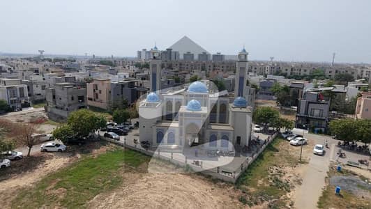 A Rare Find Wont Last Long!"