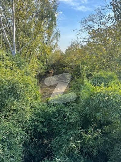 ایف ۔ 10/3 ایف ۔ 10,اسلام آباد میں 5 کمروں کا 1 کنال مکان 30.0 کروڑ میں برائے فروخت۔