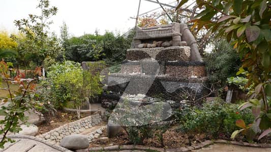 Prime 8 Marla Residential Plot For Sale in MIECHS Sector G16, Islamabad