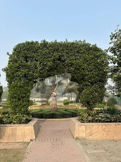 ڈریم گارڈنز ڈیفینس روڈ,لاہور میں 5 مرلہ رہائشی پلاٹ 1.15 کروڑ میں برائے فروخت۔