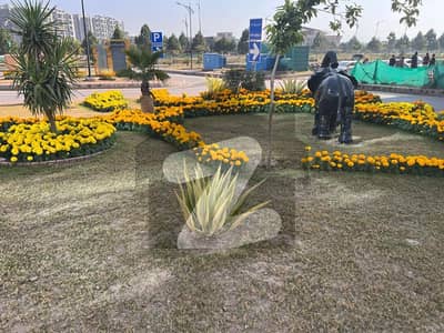 D-12/1 PLot For Sale Size: 25X50 Park Facing