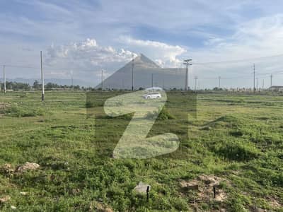 Main Chock. Allah. Chock