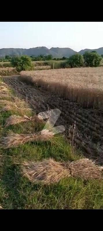 700 kanal land available for sale at burhan hasanabdal