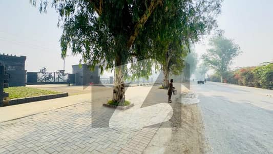 BROADWAY CHEAPEST PRICE PLOT