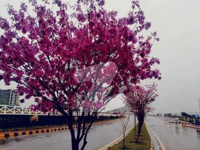 Faisal Hill Block A 5 Marla Plot AVAILABLE FOR SALE