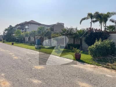 B Block 1 Kanal Pair Walking Distance Mid Location Dha