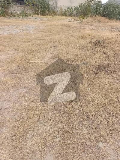 ڈی ۔ 12 اسلام آباد میں 6 مرلہ رہائشی پلاٹ 3.55 کروڑ میں برائے فروخت۔