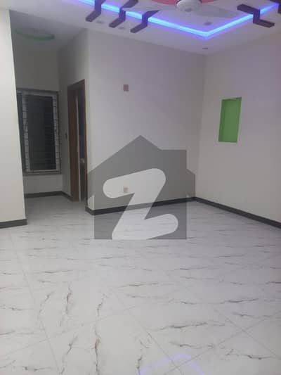 10 Marla Single Storey House Available For Rent