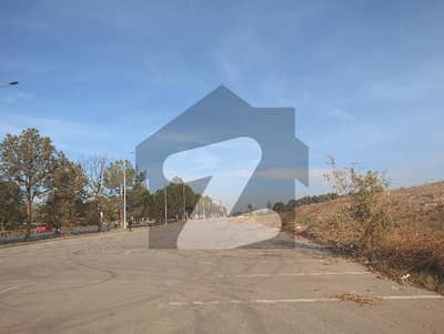 New Blue Area Plot For Sale Jinnah Avenue