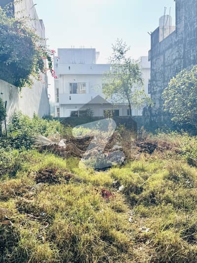 MARGLLA FACE 35x70 PLOT FoR SALE