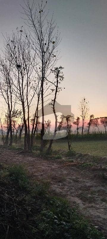 Lowest price 4 kanal farm house land urgent for sale on Barki Link road