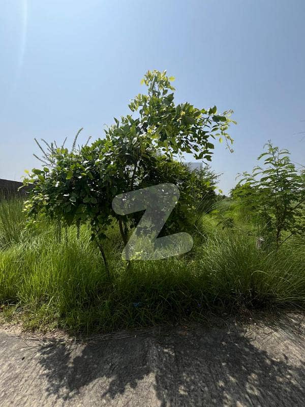 Commercial Plot for sale Zamar Valley Islamabad Commercial Plot for sale Zamar Valley Islamabad