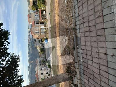 1 Kanal Front Back Road Also Front Open Plot For Sale