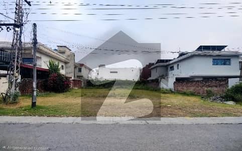 24 Marla Ideal Plot For Sale