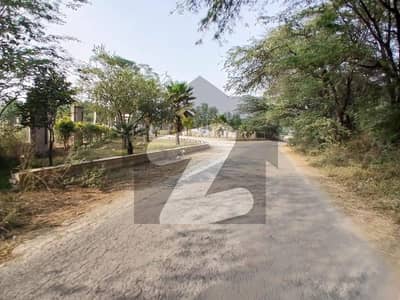 Lucrative deal. 10 lac 50,000 per kanal farm house land urgent for sale on link Barki Road