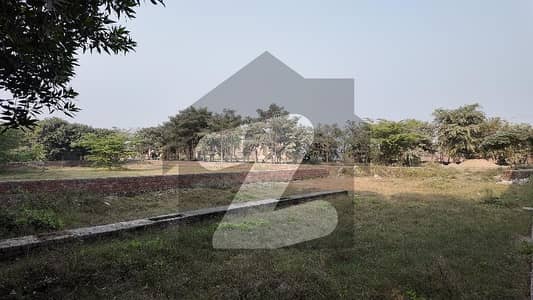 A Perfect Commercial Plot Awaits You In Barki Road Lahore