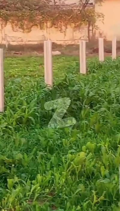 7 Kanal Prime Land for Rent Near Park Road Ideal for Marquee / Banquet Hall