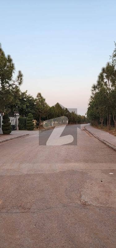 4 Kanal Farmhouse Plot for Sale Block B, Gulberg Greens, Islamabad