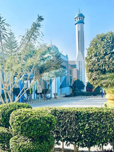 عسکری 10 - سیکٹر ایف عسکری 10,عسکری,لاہور میں 3 کمروں کا 10 مرلہ فلیٹ 3.5 کروڑ میں برائے فروخت۔