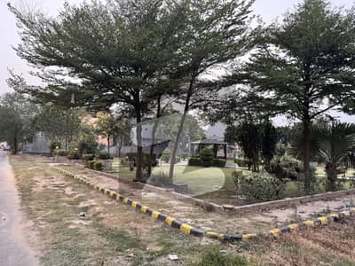 Urgent sale 8 M Plot prime location