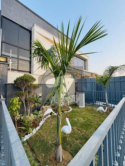 بی ۔ 17 اسلام آباد میں 5 کمروں کا 11 مرلہ مکان 5.25 کروڑ میں برائے فروخت۔