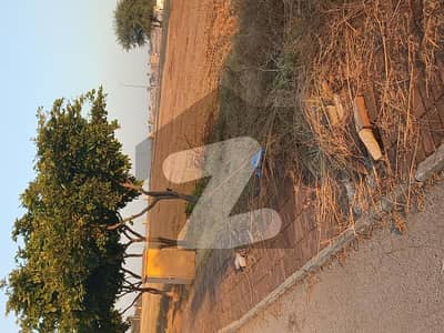 بحریہ ٹاؤن فیز 8 ۔ سیکٹر ایف - 2 بحریہ ٹاؤن فیز 8,بحریہ ٹاؤن راولپنڈی,راولپنڈی میں 10 مرلہ رہائشی پلاٹ 95.0 لاکھ میں برائے فروخت۔