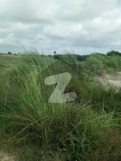 9 Acres Agriculture Land | On Road | Near Lait Stop Gharo Sakro Highway | Close to Gharo City Karachi 9 Acres Agriculture Land | On Road | Near Lait Stop Gharo Sakro Highway | Close to Gharo City Karachi