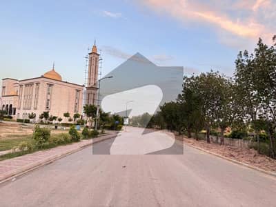 Top City Block C kanal Plot for Sale