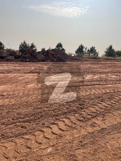 Beautiful Terrace Plot