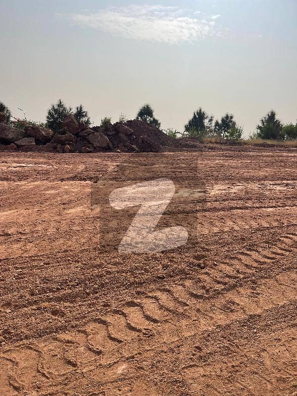 Beautiful Terrace Plot Beautiful Terrace Plot