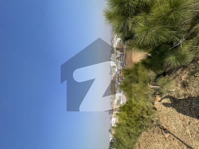 مارگلہ آرچرڈ اسلام آباد میں 10 مرلہ رہائشی پلاٹ 1.5 کروڑ میں برائے فروخت۔