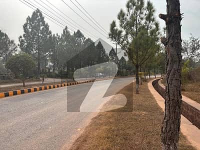 20 Kanal | Main Boulevard | 22 Crore | Sector "A"