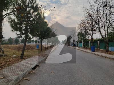 Gulberg green A Block Farmhouse plot