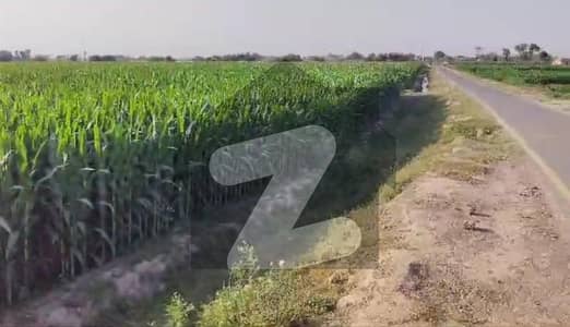 قصوررائیونڈ روڈ قصور میں 8 کنال زرعی زمین 1.6 کروڑ میں برائے فروخت۔