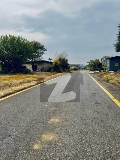 35x70 Top Location Plot For Sale In D-12.