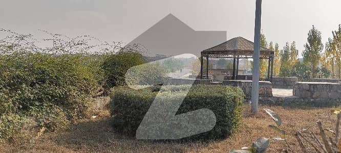 wapda town islamabad 10 marla plot for sale block E