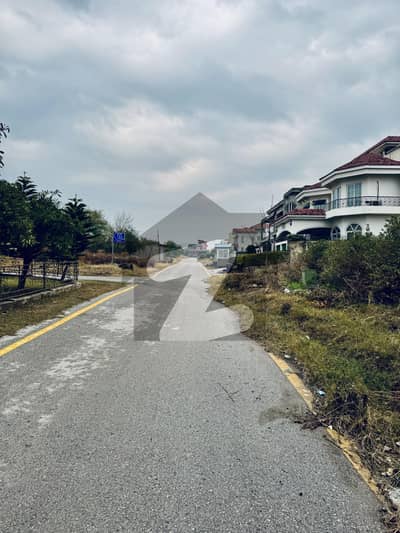 Investor Rate 60x90 Plot For Sale In D-12/3