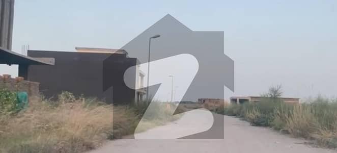 Best Investment Opportunity