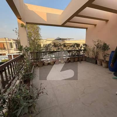 500 Yard Bungalow Available For Rent In Dha Phase 6