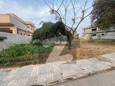 1kanal south face level plot near gate 1 sec A dha 2 for sale