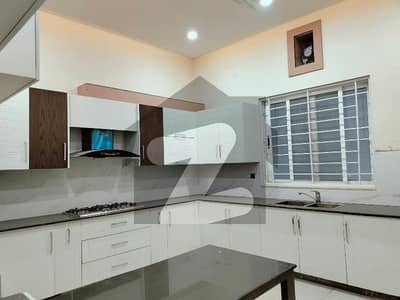 3 Store ful house Available for Rent