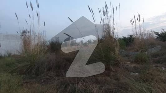 Residential Plot Available For Sale In Zamar Valley