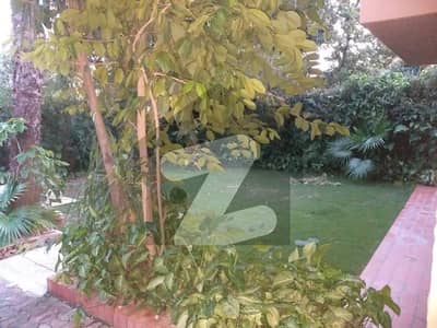 Beautiful house available for rent on prime location