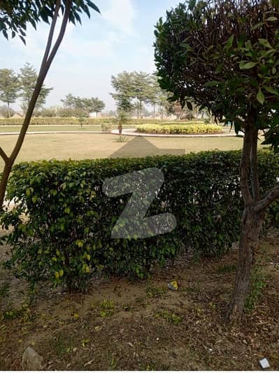 5 Marla Double Storey House