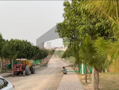 Gulberg Green Block D 05kanal 650series Developed Possession Plot Available For Sale