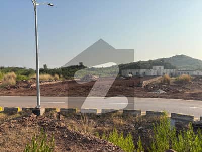 Prominent Possession Plot in Sector D