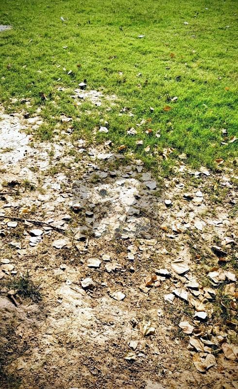 2 Kanal plot for Sale Hot location 2 Kanal plot for Sale Hot location