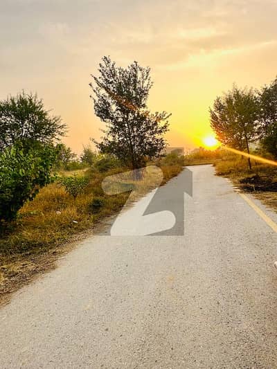 PRIME CORNER PLOT WITH HIGH RETURNS IN AN EXCELLENT LOCATION IN D-12/2