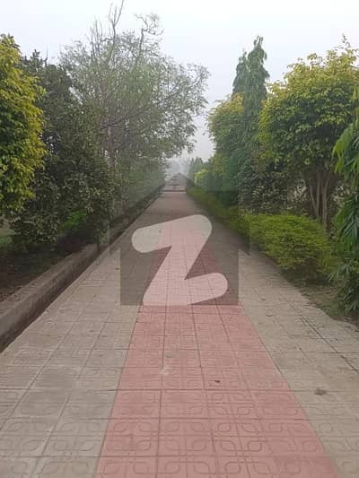 ما نگا - رائیونڈ روڈ لاہور میں 20 کنال کمرشل پلاٹ 12.25 کروڑ میں برائے فروخت۔