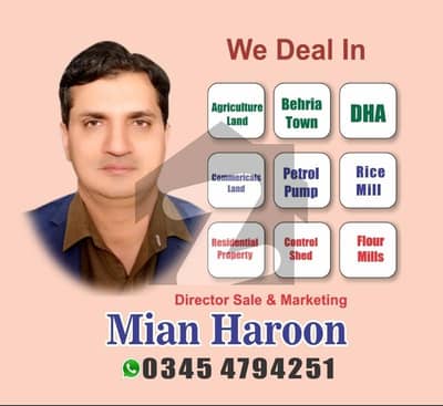 فیروز وٹواں شیخوپورہ میں 440 کنال زرعی زمین 32.5 کروڑ میں برائے فروخت۔